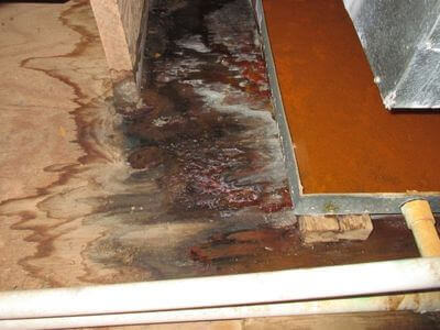 About water damage restoration service - emergency water extraction services experts in Los Angeles